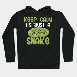 Keep calm its just a snake Hoodie